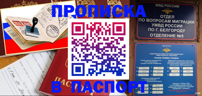 купить прописку в Новом Осколе